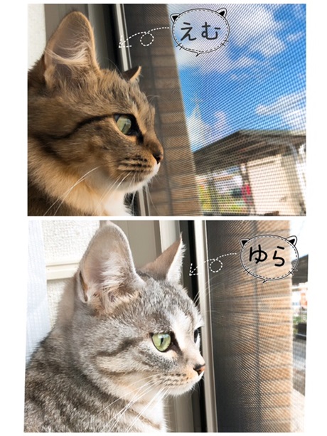 kira2